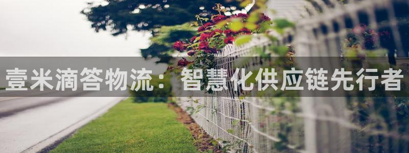28圈推广链接是多少个：壹米滴答物流