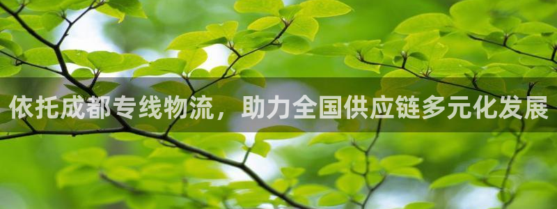 28圈注册流程：依托成都专线物流，助