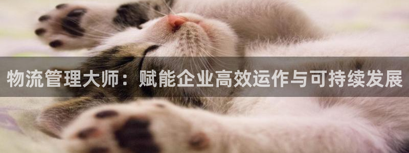 28圈.ccm正版：物流管理大师：赋