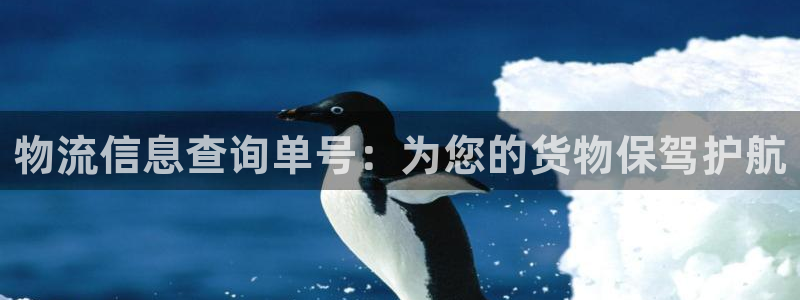 28圈为什么没有赢过一次：物流信息查询单号：为您的货物保驾护