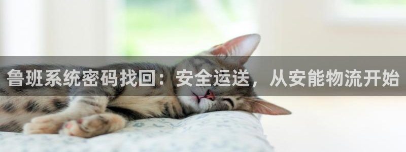 28圈分分28输了能不能退