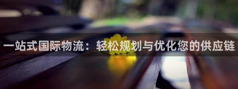 28圈最稳打法：一站式国际物流：轻松