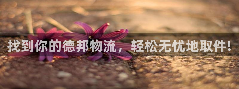 28圈比特28真实吗：找到你的德邦物