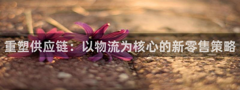 28圈为什么打不开：重塑供应链：以物