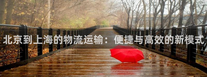 28圈为什么打不开：北京到上海的物流