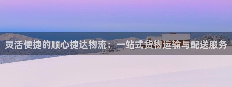 28圈体育下载：灵活便捷的顺心捷达物