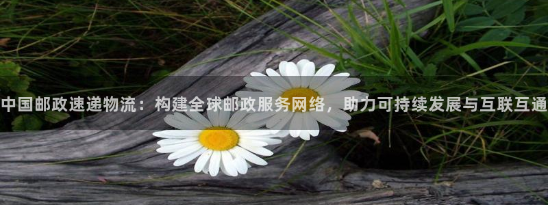 28圈官网版所有版本