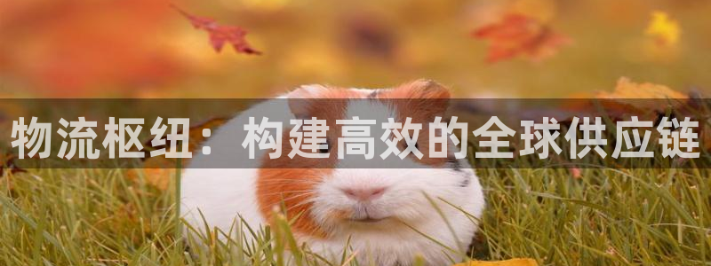 28圈初始资金密码是什么