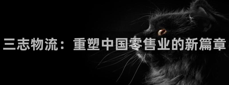 28圈加拿大开奖：三志物流：重塑中国
