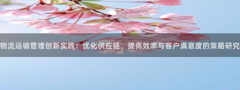 28圈取保：物流运输管理创新实践：优化供应链、提高效率与客户