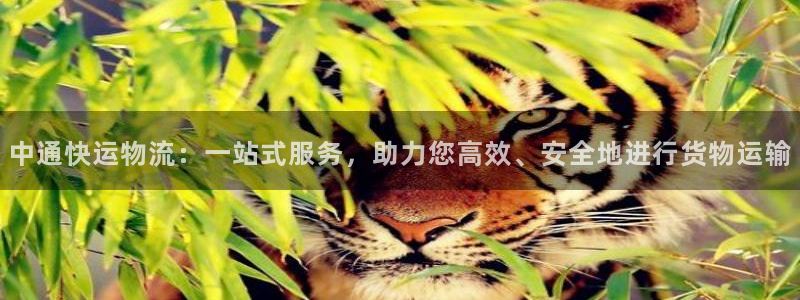 28圈预测：中通快运物流：一站式服务