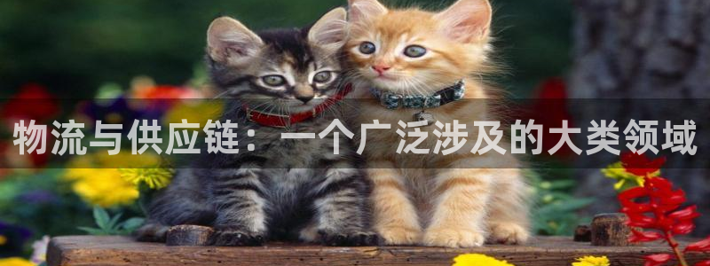 28圈预测网：物流与供应链：一个广泛