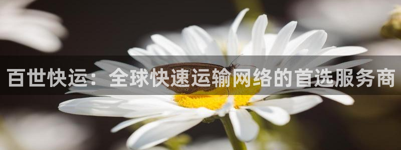 28圈比特28真实吗：百世快运：全球