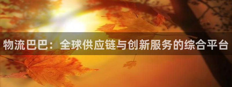 28圈反水什么时候到：物流巴巴：全球