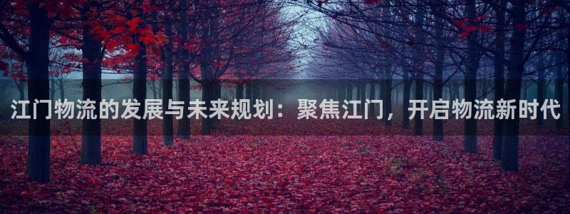 28圈旗下：江门物流的发展与未来规划