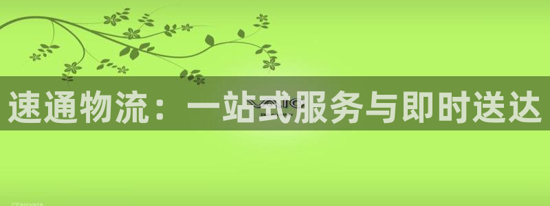 28圈黑款：速通物流：一站式服务与即