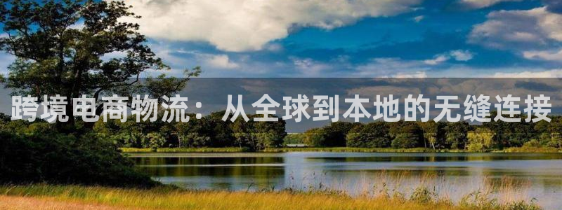 28圈充值不处理：跨境电商物流：从全