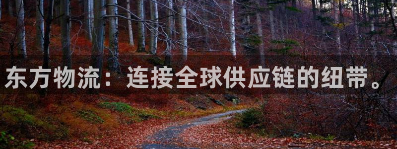 28圈现在狂杀：东方物流：连接全球供