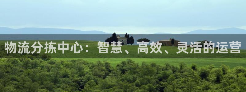 28圈PG电子游戏：物流分拣中心：智