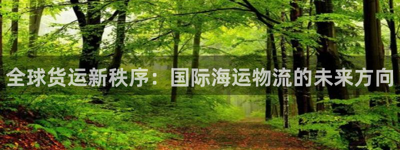 28圈p扣除是什么意思：全球货运新秩