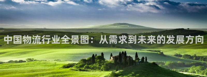 28圈官网版2024：中国物流行业全
