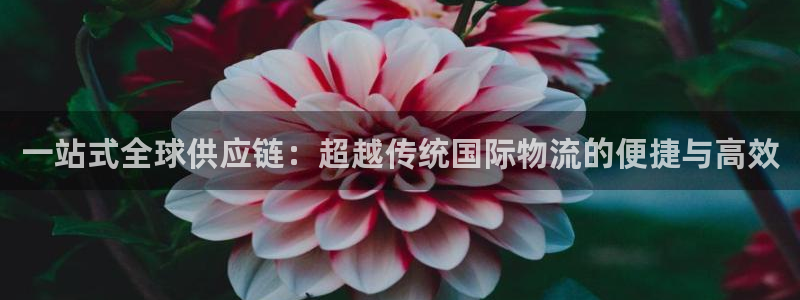 28圈官网下载链接是什么：一站式全球