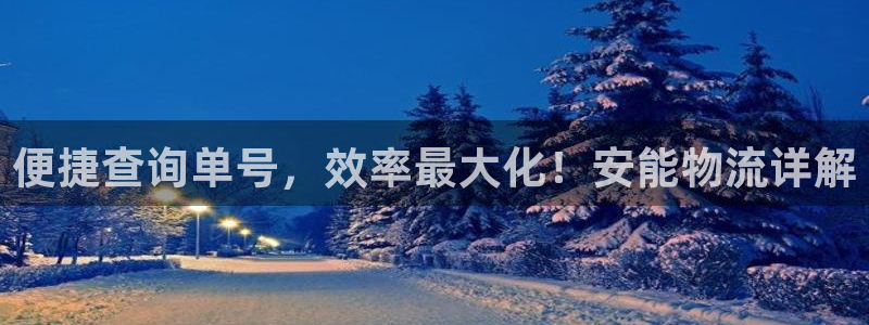 28圈加拿大28