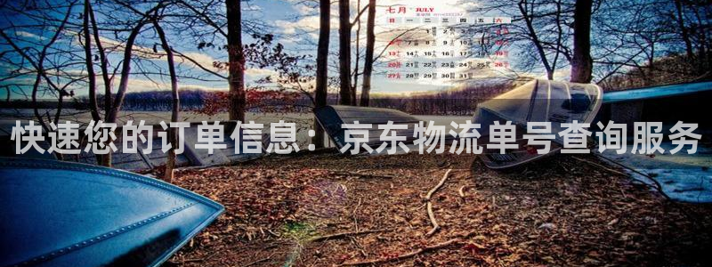 28圈登录网：快速您的订单信息：京东