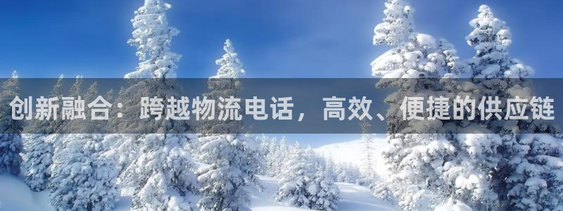 28圈预测：创新融合：跨越物流电话，高效、便捷的供应链