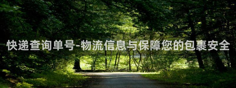 28圈大神预测
