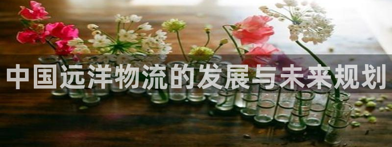 28圈圈助手