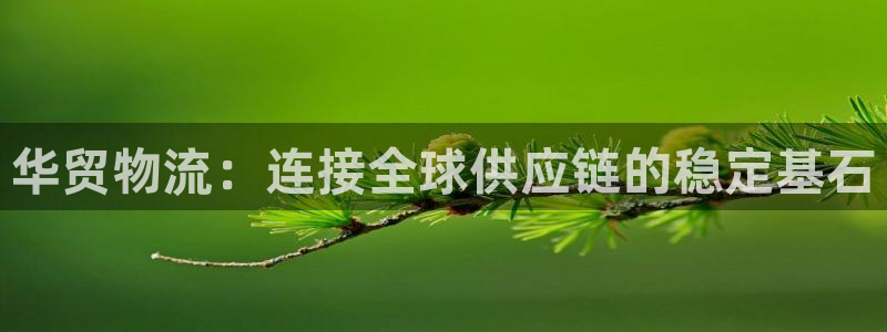 28圈注册网站链接是什么：华贸物流：