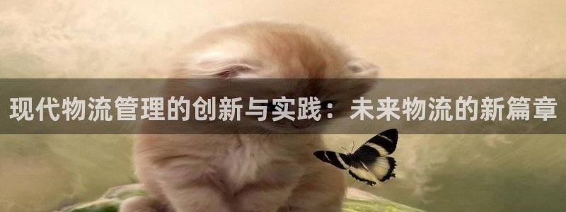 28圈app赢了500万：现代物流管理的创新与实践：未来物流