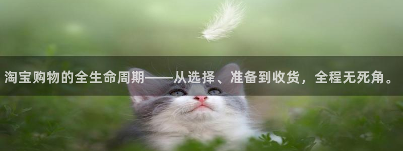 28圈比特28真实吗