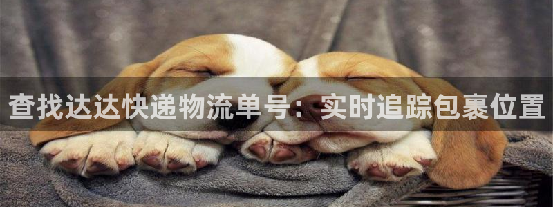28圈正规吗?