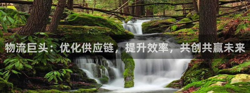 28圈昵称