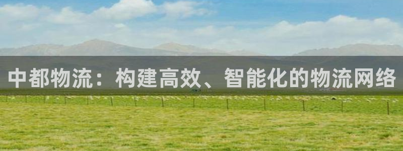 28圈注册二维码：中都物流：构建高效