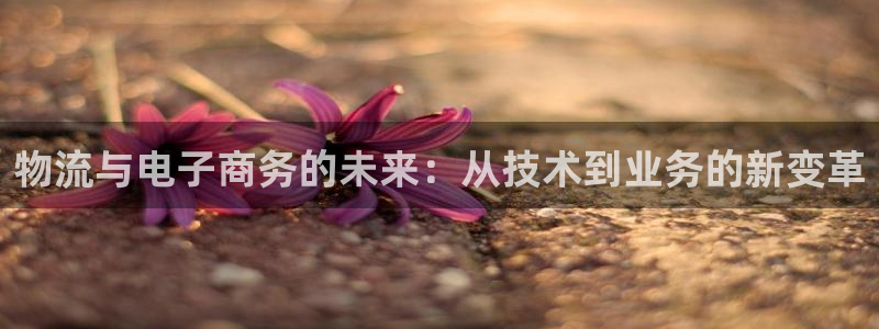 28圈软件堵什么反什么