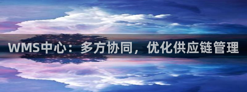 28圈软件