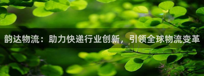 28圈退款教程