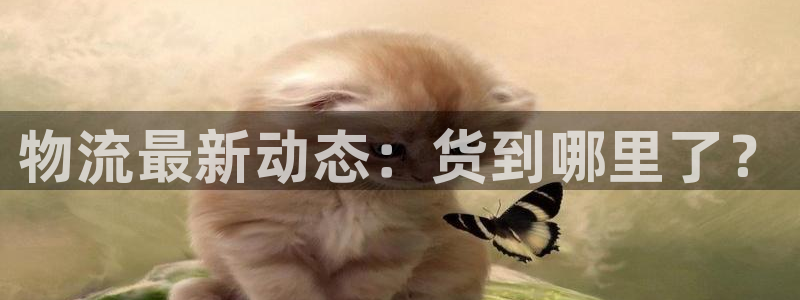 28圈头像