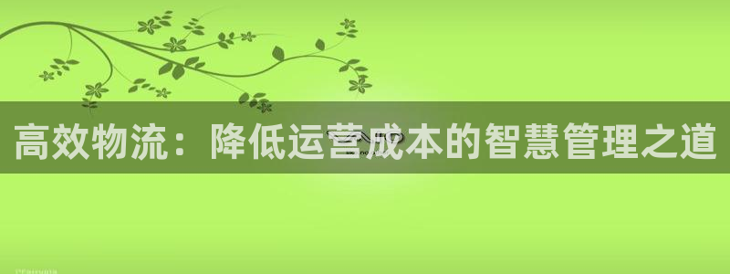 28圈充值不处理：高效物流：降低运营