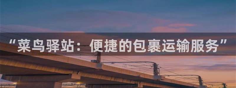 28圈加拿大最新版：“菜鸟驿站：便捷