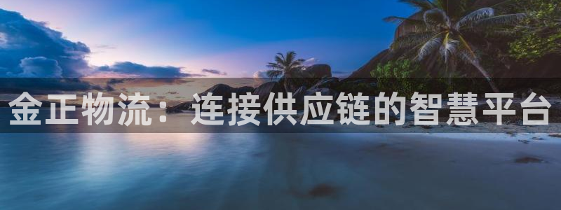 28圈注册网站APP:金正物流:连接