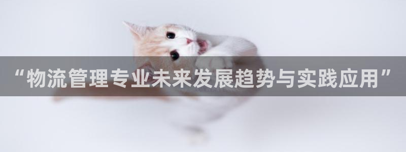 28圈注册链接教程:“物流管理专业未