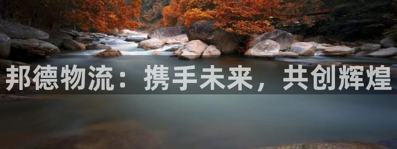 28圈加拿大是什么：邦德物流：携手未来，共创辉煌