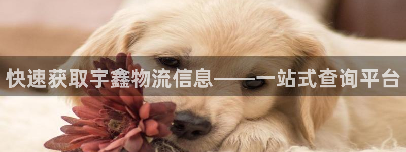 28圈官网开奖结果预测查询