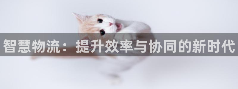 28圈注册限制怎么解除:智慧物流:提