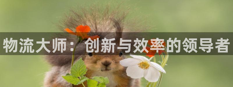 28圈怎么注册账号和密码:物流大师: