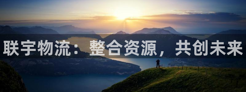 28圈注册网站链接:联宇物流:整合资